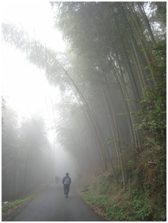 2011-01-22 14-48-32-A組等車無聊去逛茶場.JPG